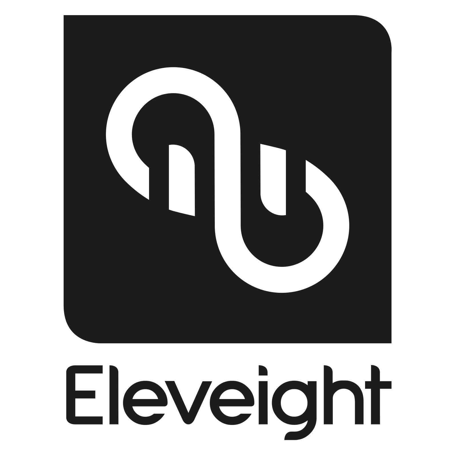 Eleveight kites
