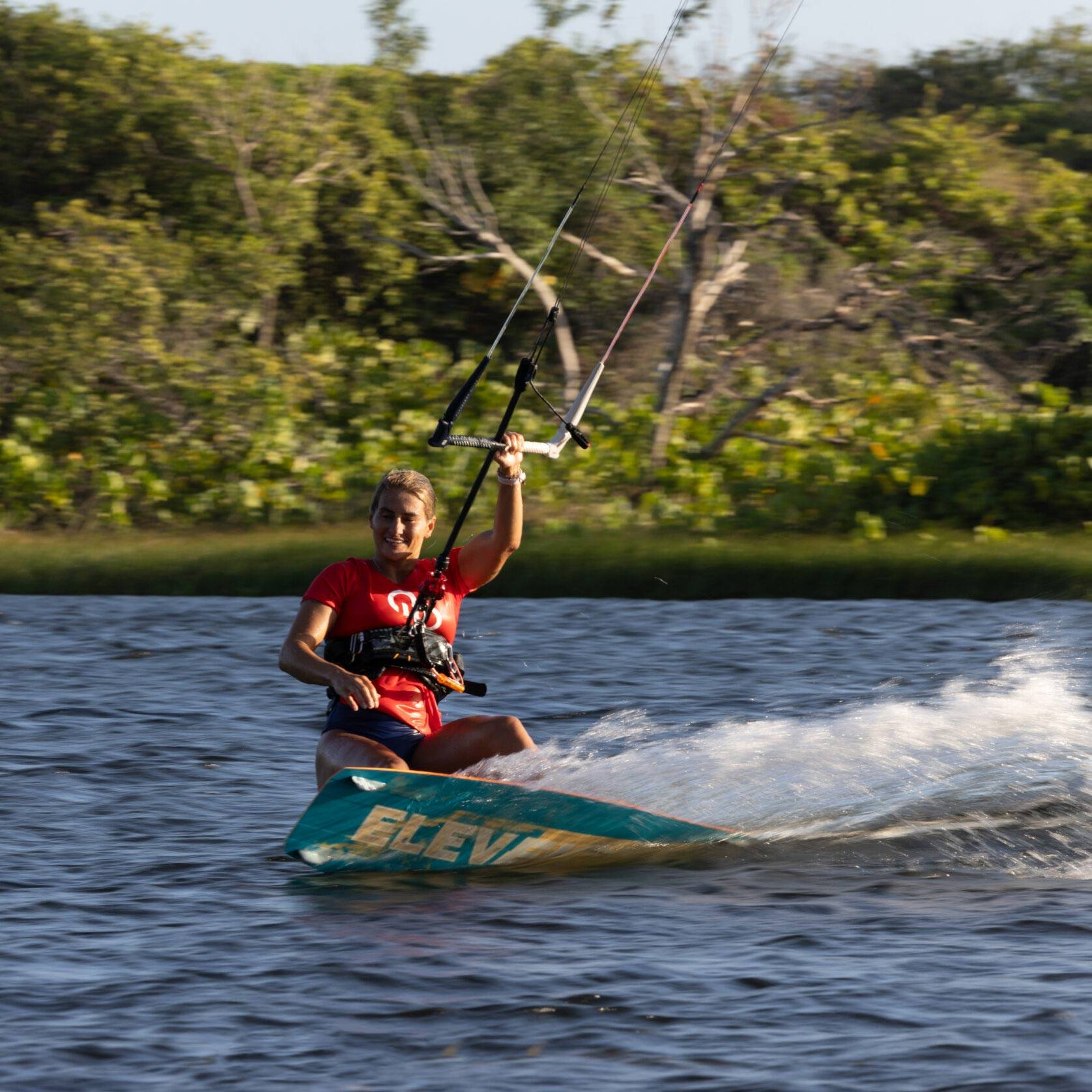 ELEVEIGHT PROCESS V8